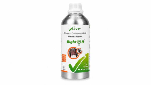 Right H 500ml.